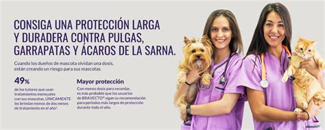 Bravecto Latam Universo De La Salud Animal