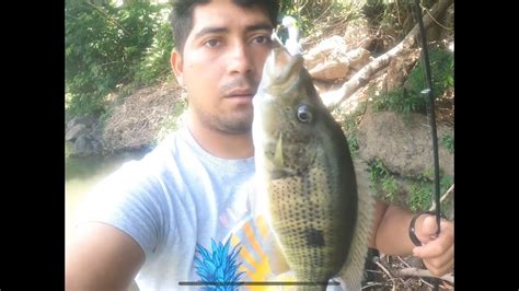 Pesca De Guapotes Con Enga Ador En R O Lempa Youtube