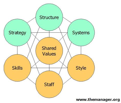 The 7 S Model - Summary and Application