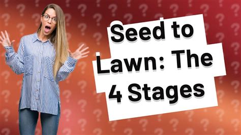 What Are The 4 Stages Of Grass Growth YouTube