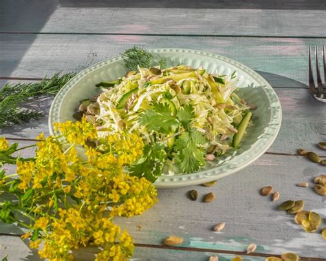 Salada Do Vegetariano Katusta Fresco E Pepinos Ervas Picantes E