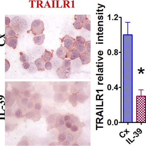 Il 39 Inhibits Apoptosis Of Miapaca 2 Cells Miapaca 2 Cellular