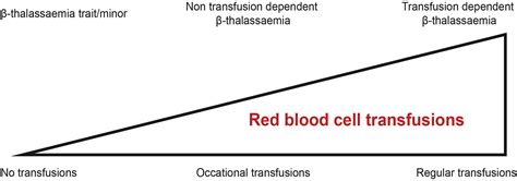 Molecular Basis And Genetic Modifiers Of Thalassemia Hematology