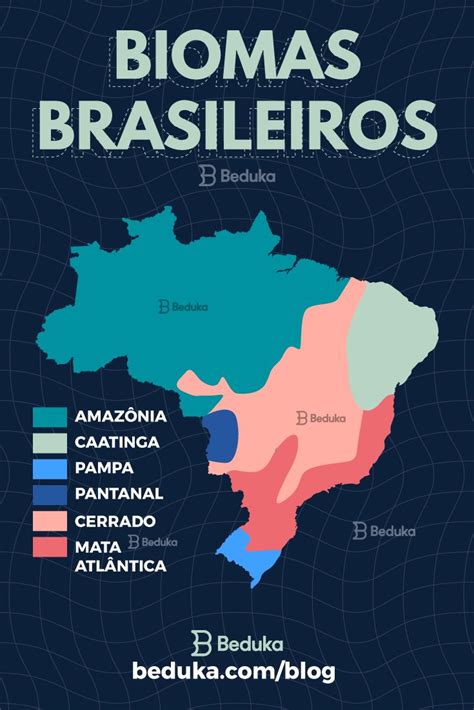 Biomas Do Brasil