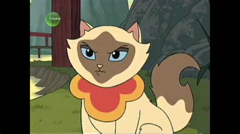 Sagwa The Chinese Siamese Cat