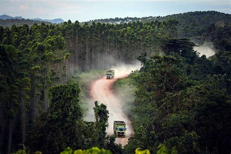 25 Pejabat Siap Dipilih Otorita IKN Beroperasi Penuh Akhir 2022