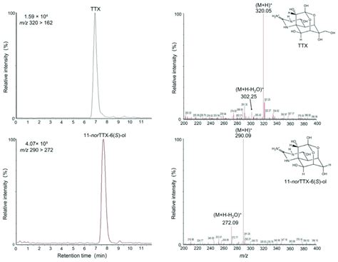 Lc Msms Chromatograms And Ms Spectra Of Ttx Upper And Download Scientific Diagram