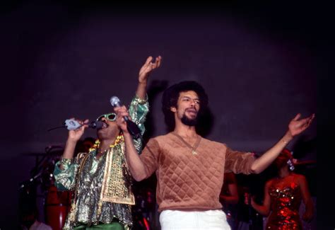 happy birthday stevie capsule records