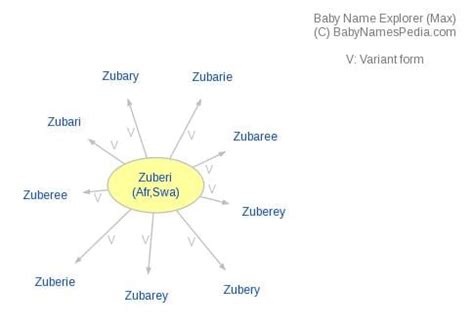 Zuberi - Meaning of Zuberi, What does Zuberi mean?