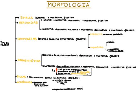 Morfolog A Esquema Apuntes Para Evau Lengua Castellana Y Literatura