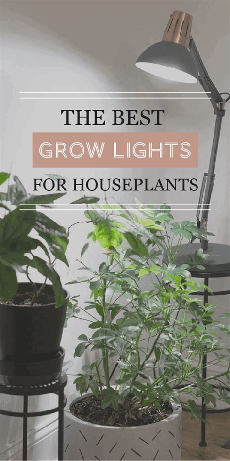 The Best Grow Lights For Your Houseplants The Healthy Houseplant