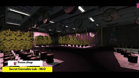 Secret Cannabis Lab Fivem Mlo Research Lab Mlo Youtube