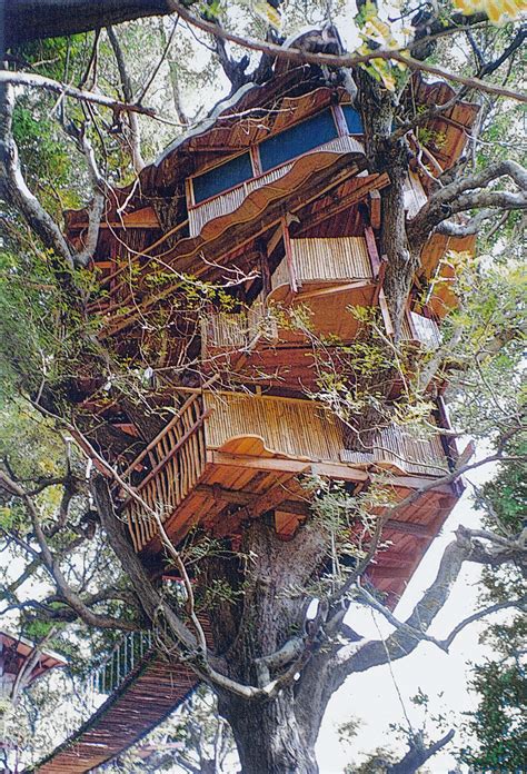 big treehouse   sky  shelter blog
