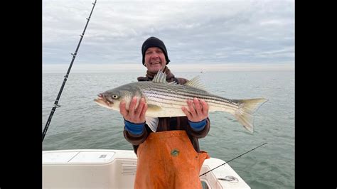 Winter Striped Bass Fishing Youtube