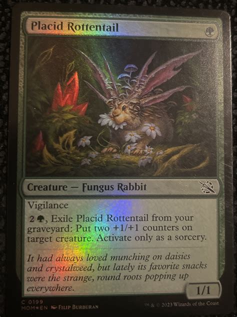 Karta Magic The Gathering Placid Rottentail Gostyń Kup teraz na