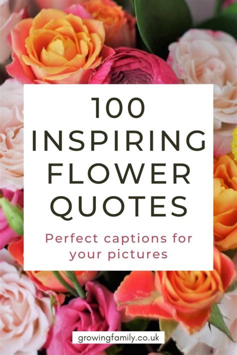 Flower Quotes And Sayings