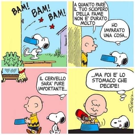 Pin Di Le Fate Su Peanuts Nel Immagini Citazioni Divertenti