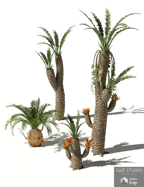 Rpc Volume 6 Mesozoic Plants And Trees For Daz Studio And Vue Daz 3d