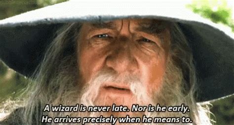 Gandalf Gif Cane