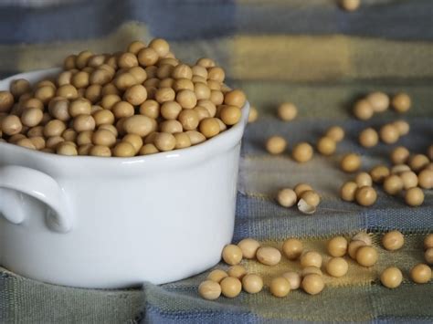 Sojabohnen Kochen Rezepte