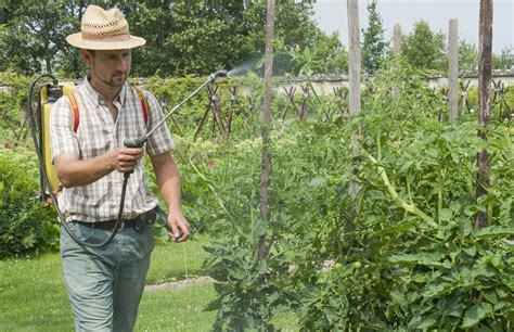 jardinage en partenariat avec rustica potager Les oligoéléments