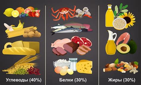 Диета для сушки тела: обзор лучших схем питания для мужчин и женщин