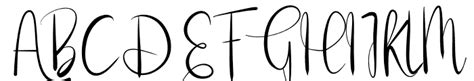 Raise Money Font Script Decorative What Font Is