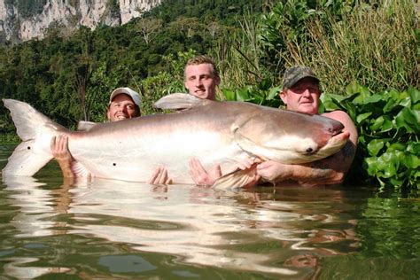 Worlds Biggest Channel Catfish