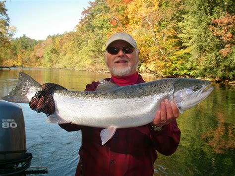 Top Steelhead Flies Fall Steelhead Manistee River Current Works