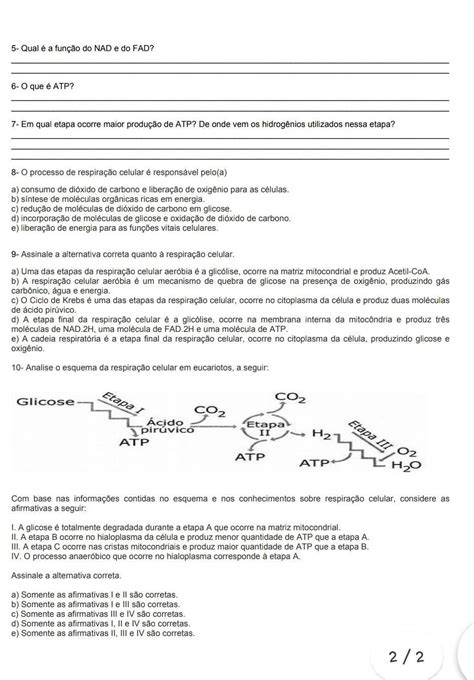 Me Ajudem Nessas Quest Es Brainly Br