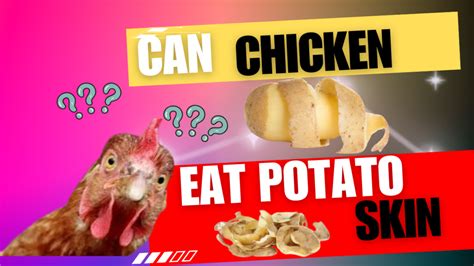 Can Chicken Eat Potato Skins Beautyful Garden