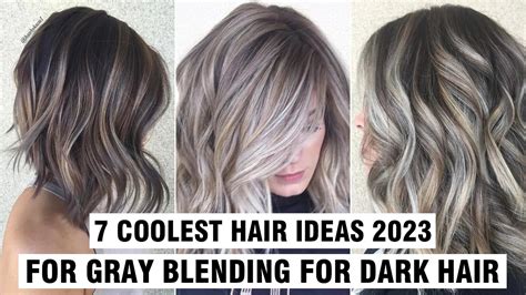 7 Coolest Hair Ideas 2023 For Gray Blending For Dark Hair