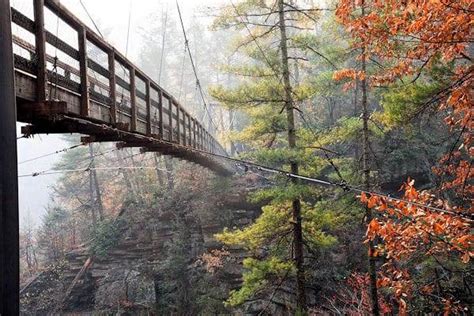 Georgia State Parks | America's State Parks