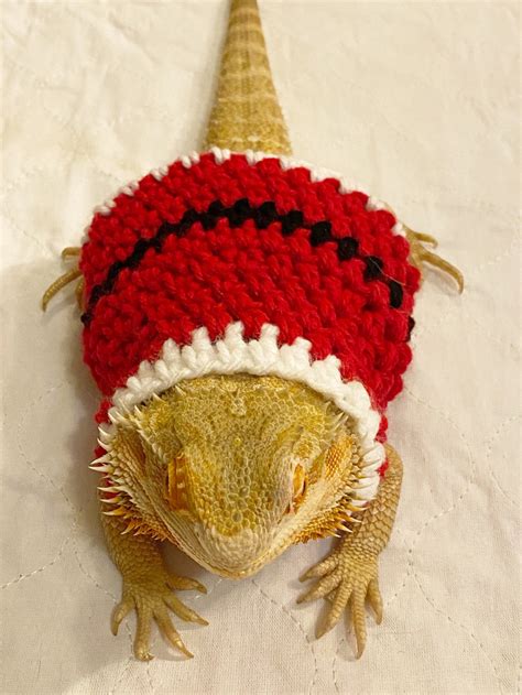 Crocheted Adult Santa Bearded Dragon Sweater Bearded Dragon Etsy