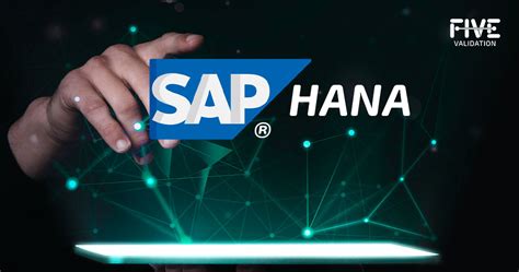 SAP HANA® ERP Validation – FIVE Validation