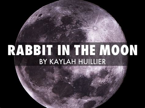 rabbit in the moon by 64521