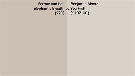 Farrow And Ball Elephant S Breath 229 Vs Benjamin Moore Sea Froth