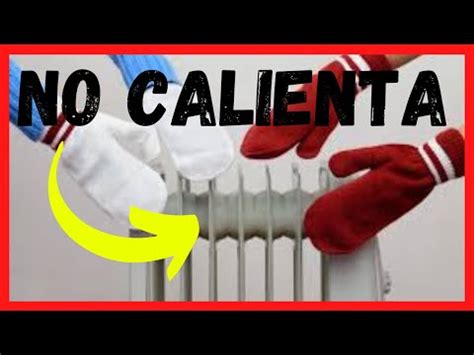 Por qué tu radiador no calienta Descubre la solución aquí Todo