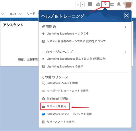 Salesforce Entokyo