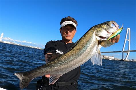 Megabass メガバス オンラインショップ