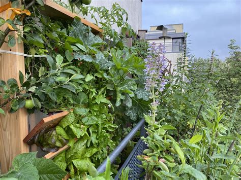 Ber Mich Balkonexpertin Birgit Schattling Bio Balkon