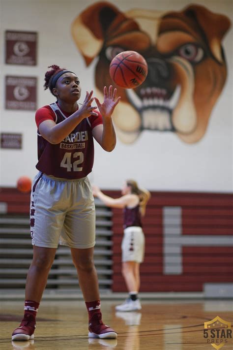 Expectations are high for area basketball teams upon first day of