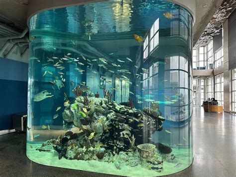 South Carolina Aquarium Exploding Travel
