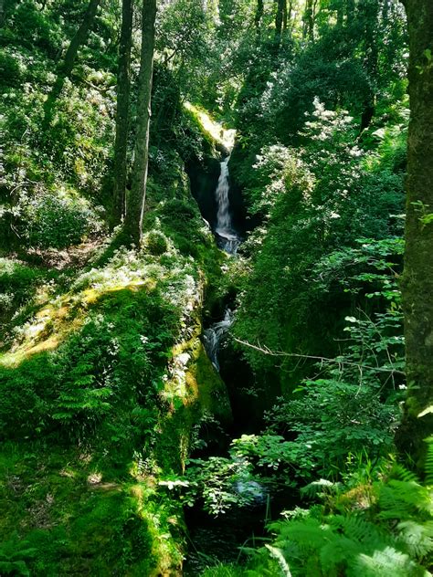 A waterfall in the Wicklow Mountains, Ireland. [OC] [3000x4000] ~ Earth ...