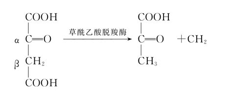 生物氧化解读生命化学挂云帆