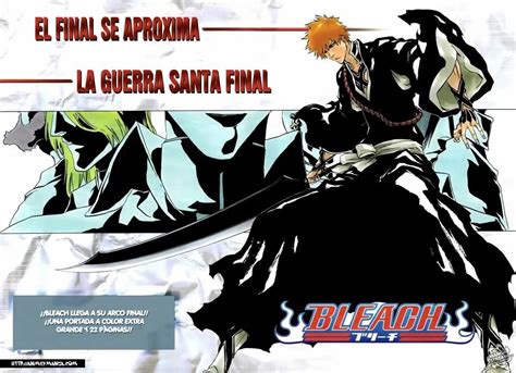 Bleach Todas Las Sagas Arcos Y Relleno Del Anime Para Vivir De Cerca