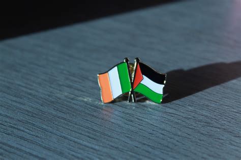 Ireland / Palestine Solidarity Badge - Calton Books (SP) Ltd