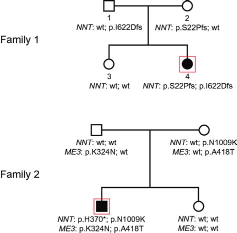 Pedigrees Of The Two Families Notes Nnt Biallelic Mutations Are Found