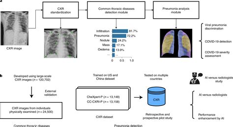 Covid For Pneumonia Classification Using Densenet Deep Learning Based