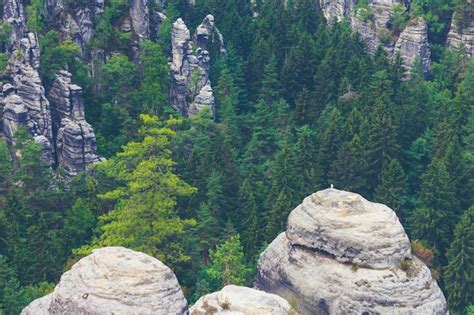 Premium Photo | The bastei bridge, saxon switzerland national park, germany